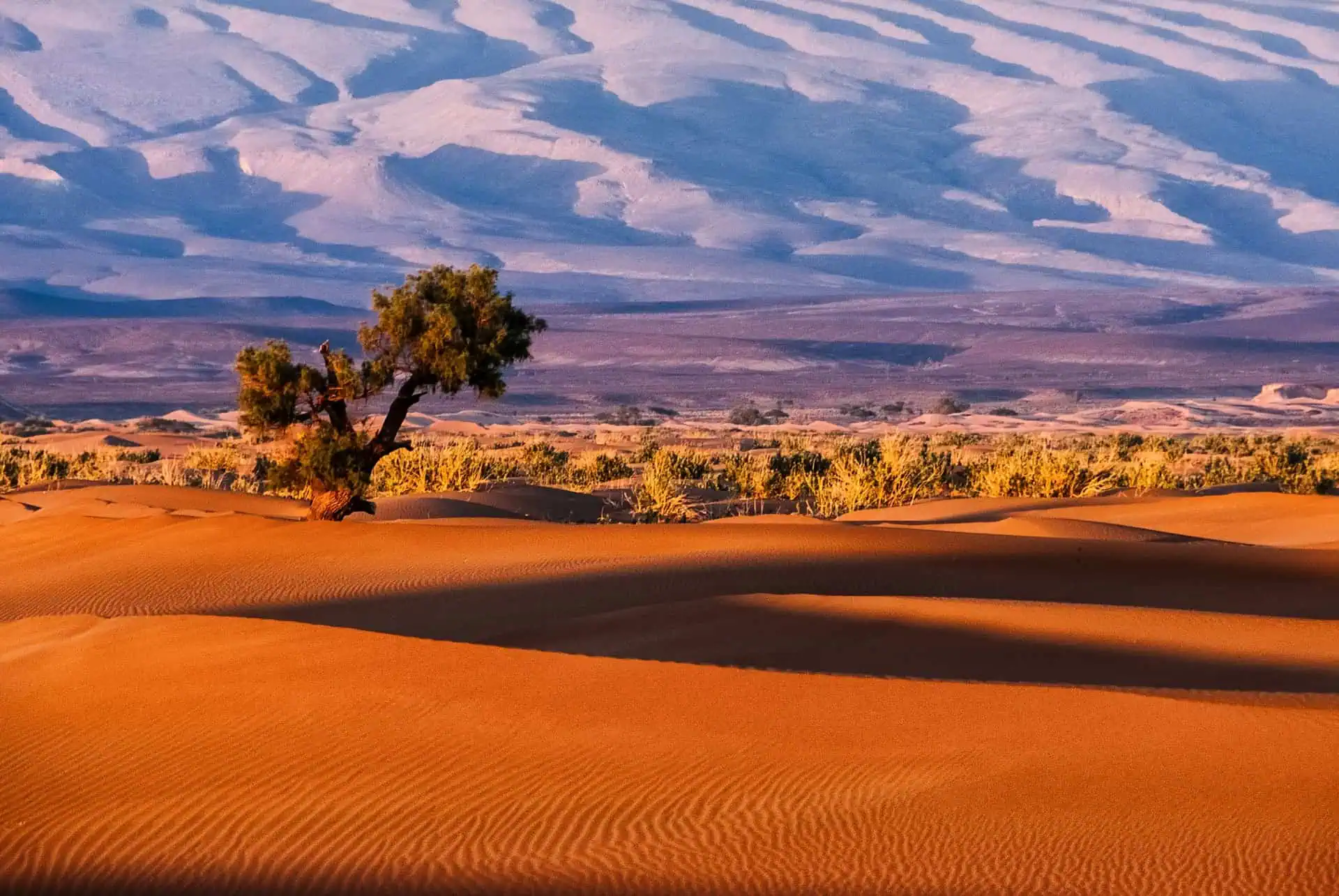 Exploring modern african literature