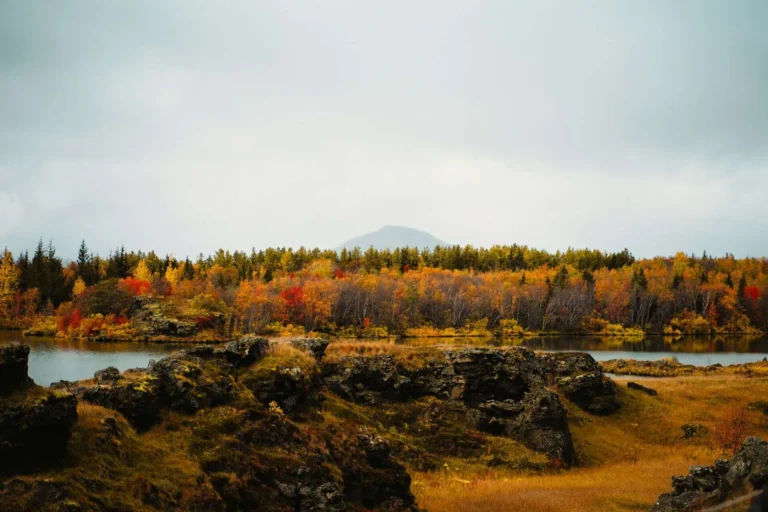 Linda christiansen fall