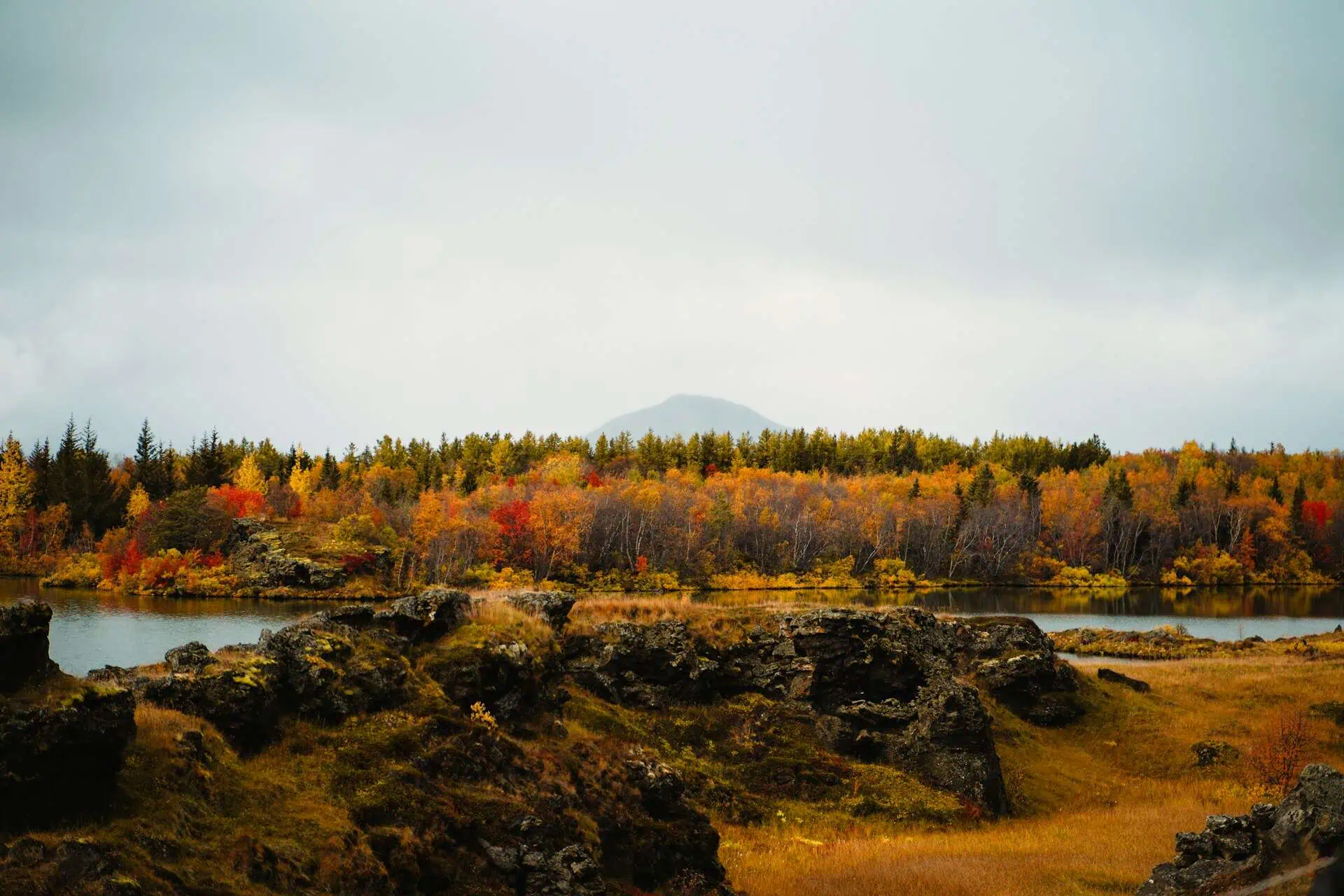 Linda christiansen fall