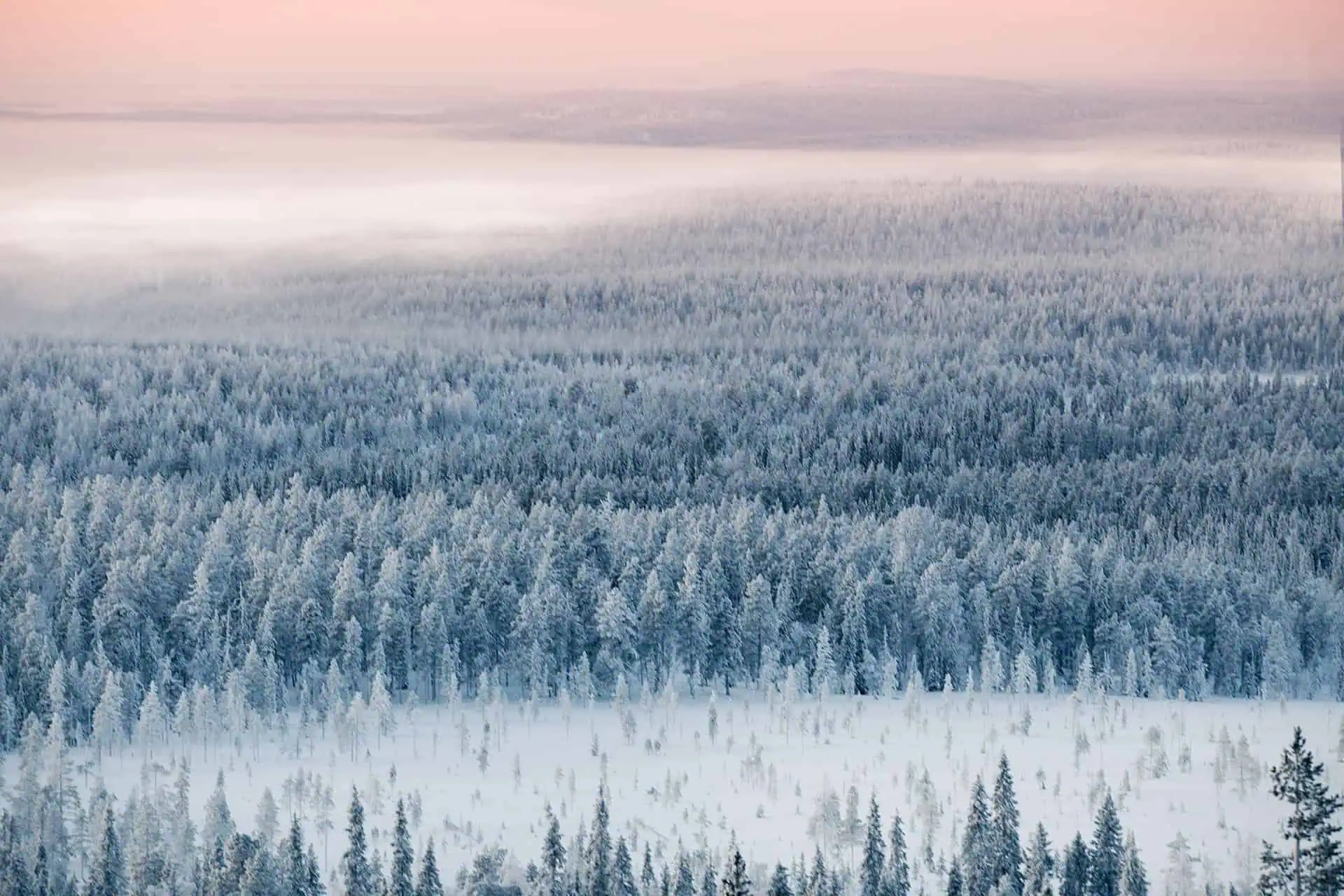 Winter tundra